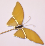 Plant Picks, Moth